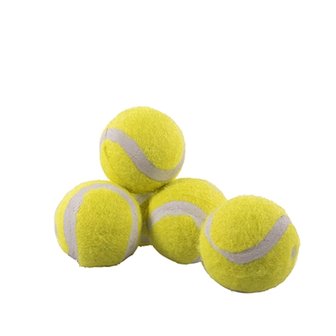 Rosewood jolly doggy tennisbal mini