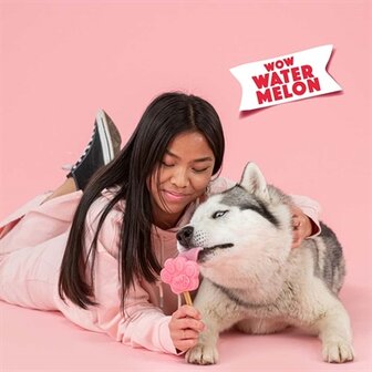 Smoofl ijsmix voor honden watermeloen