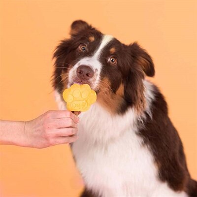 Smoofl ijsmix voor honden mango