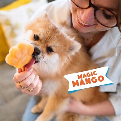 Smoofl ijsmix voor honden mango