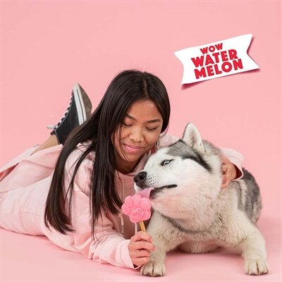 Smoofl ijsmix voor honden watermeloen