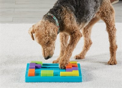 Brightkins bark brain game treat puzzle